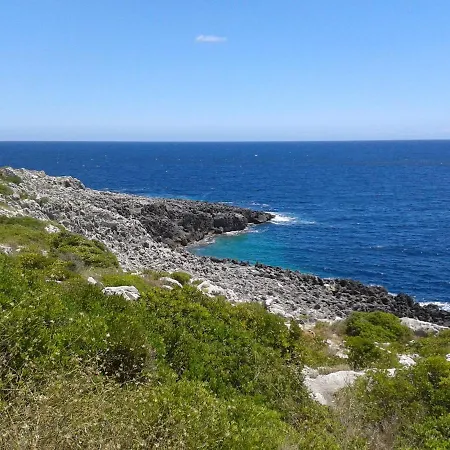 Mirto * Corsano (Apulia)