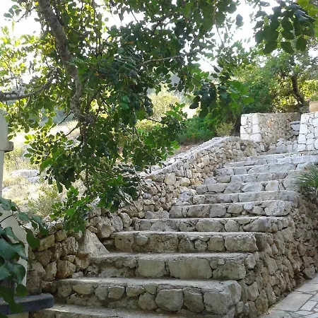 Mirto Σπίτι διακοπών *