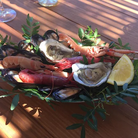 Σπίτι διακοπών Mirto Corsano (Apulia)
