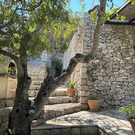 Mirto Σπίτι διακοπών *